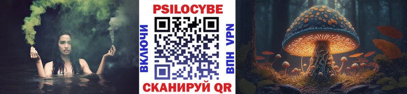 Псилоцибиновые грибы Psilocybe  Купить  Усть-Джегута 